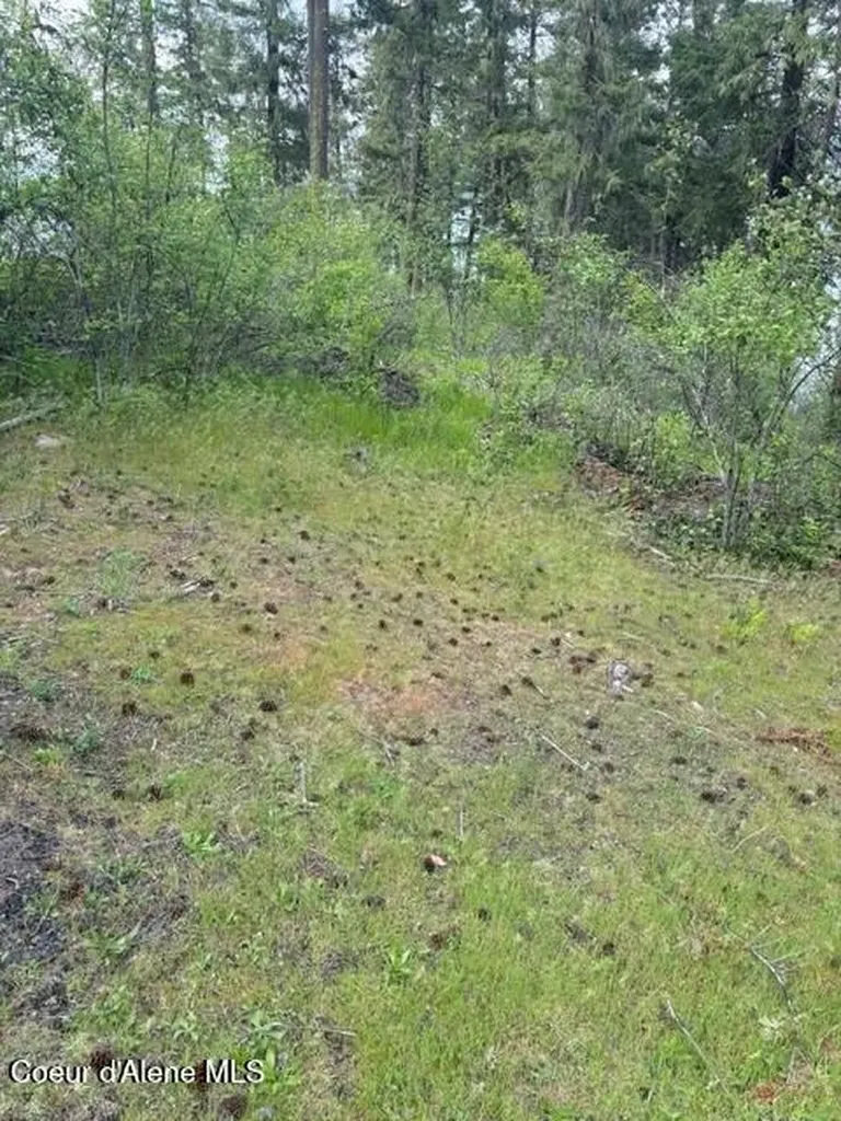 3671 E Bridgeview Drive Harrison ID 83833