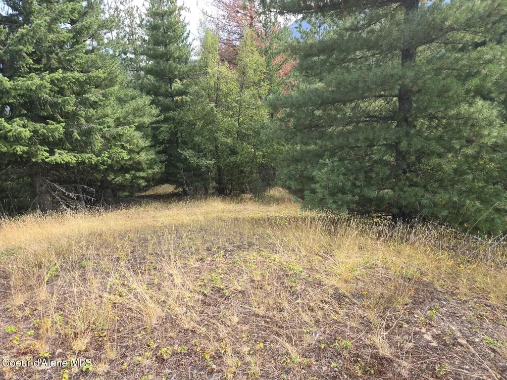 51833 Silver Valley Road Kellogg ID 83837