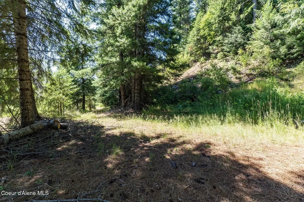 Nka Coeur D'alene River Road Kingston ID 83839