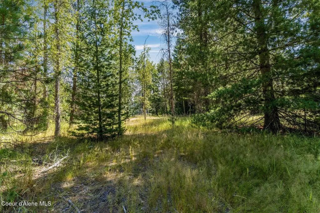 Nka Coeur D'alene River Road Kingston ID 83839
