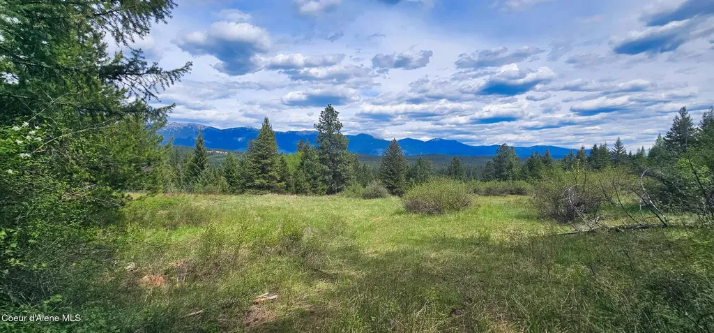Nna 20 Acres Two Tail Road Bonners Ferry ID 83805