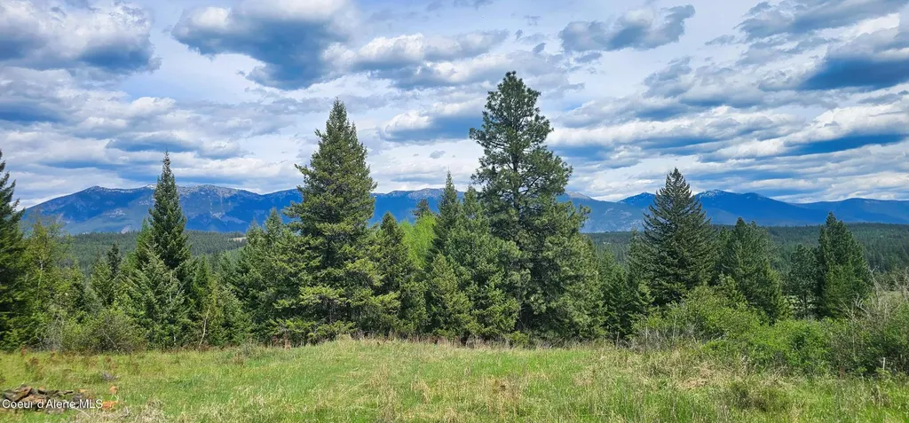 Nna 20 Acres Two Tail Road Bonners Ferry ID 83805