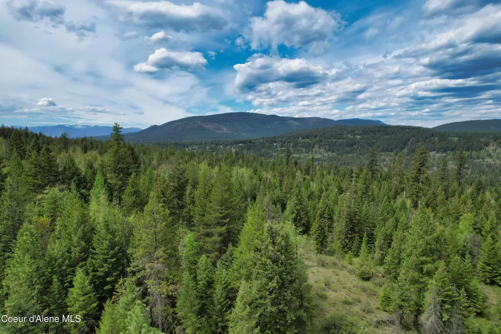 Nna 20 Acres Two Tail Road Bonners Ferry ID 83805