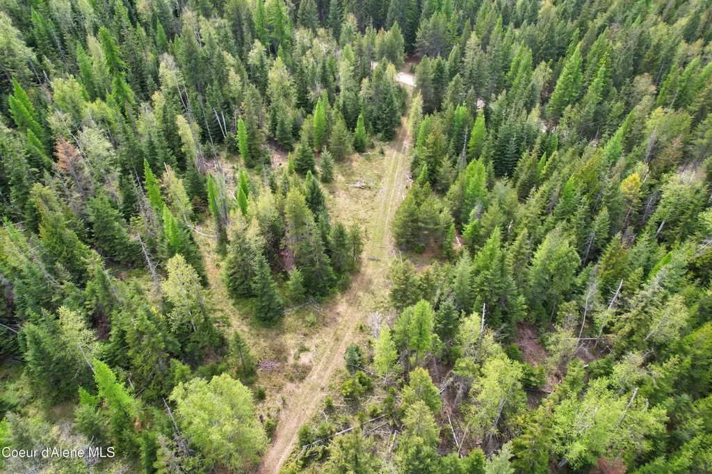 Nna 20 Acres Two Tail Road Bonners Ferry ID 83805