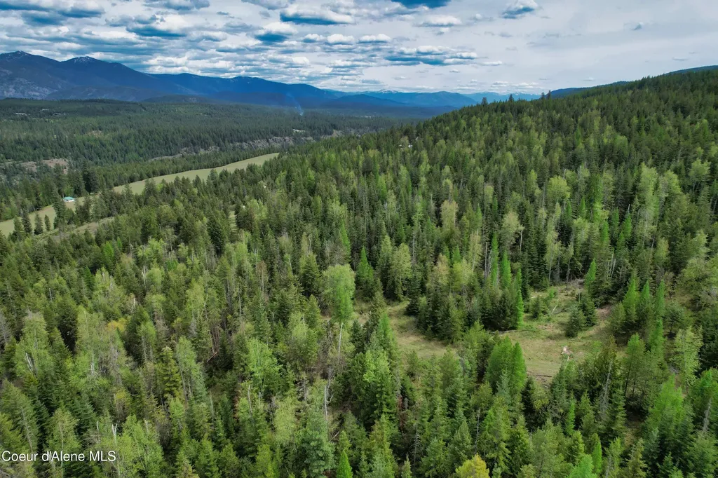 Nna 20 Acres Two Tail Road Bonners Ferry ID 83805
