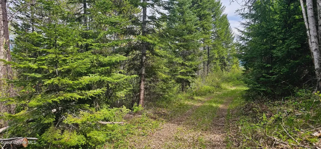 Nna 20 Acres Two Tail Road Bonners Ferry ID 83805