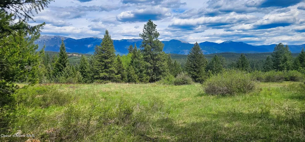 Nna 20 Acres Two Tail Road Bonners Ferry ID 83805