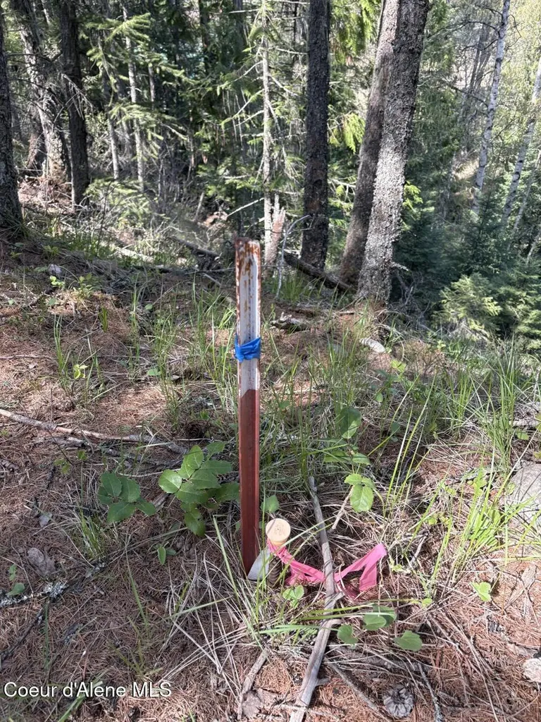 1202 Porkchop Road Moyie Springs ID 83845