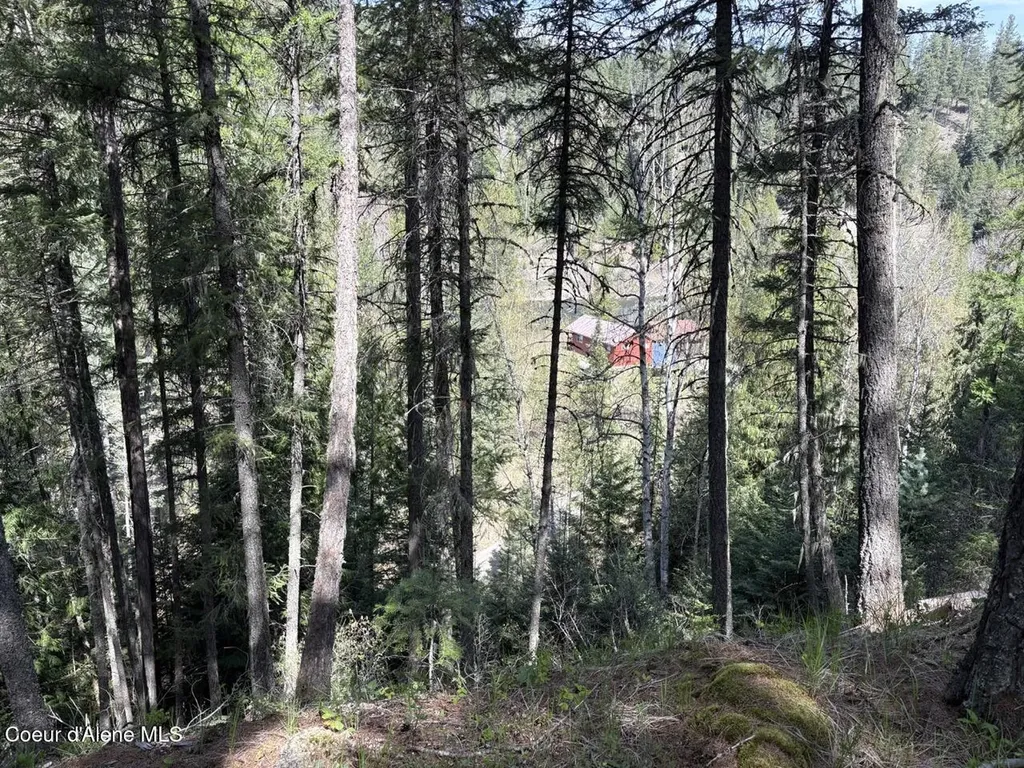 1202 Porkchop Road Moyie Springs ID 83845