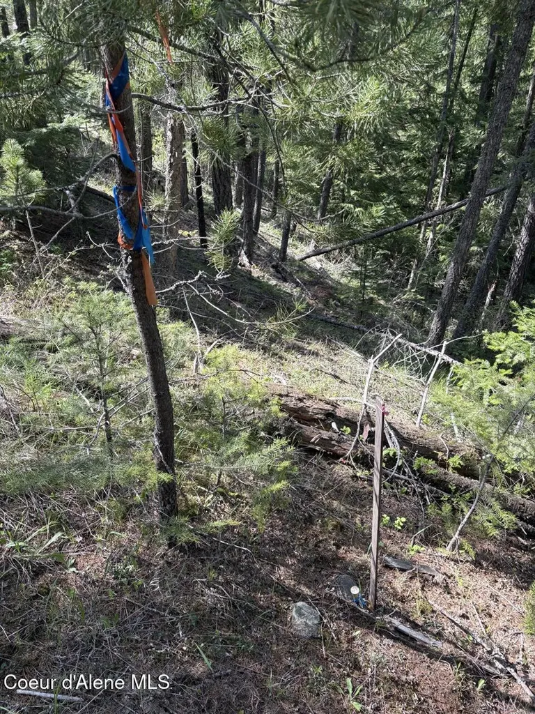 1202 Porkchop Road Moyie Springs ID 83845