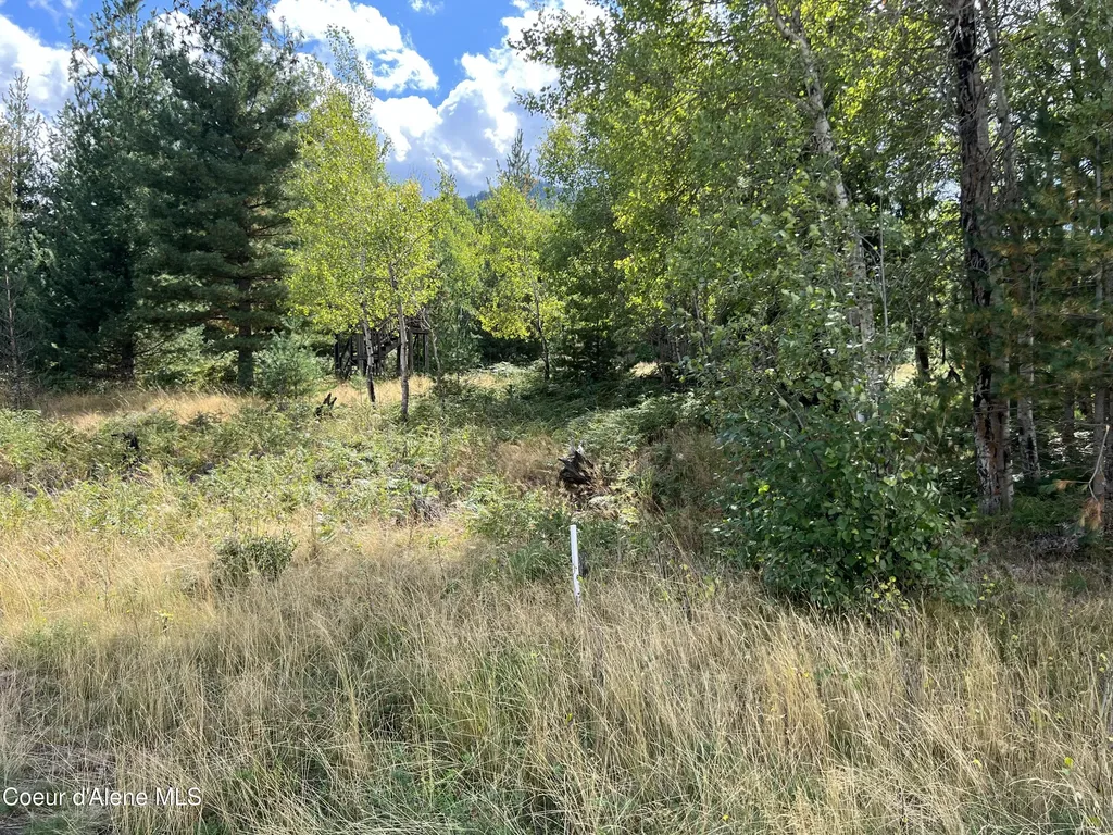 278 Diamond Hitch Drive Kellogg ID 83837