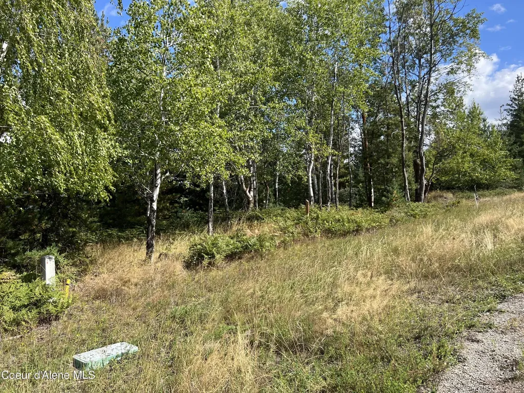 278 Diamond Hitch Drive Kellogg ID 83837