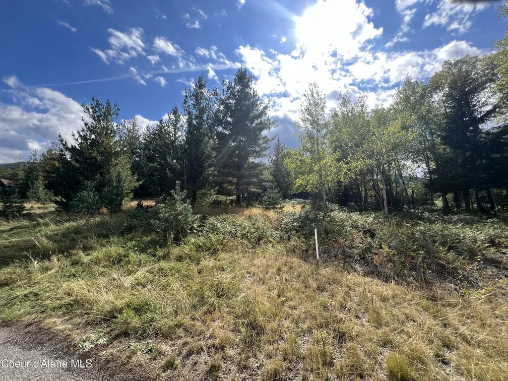 278 Diamond Hitch Drive Kellogg ID 83837