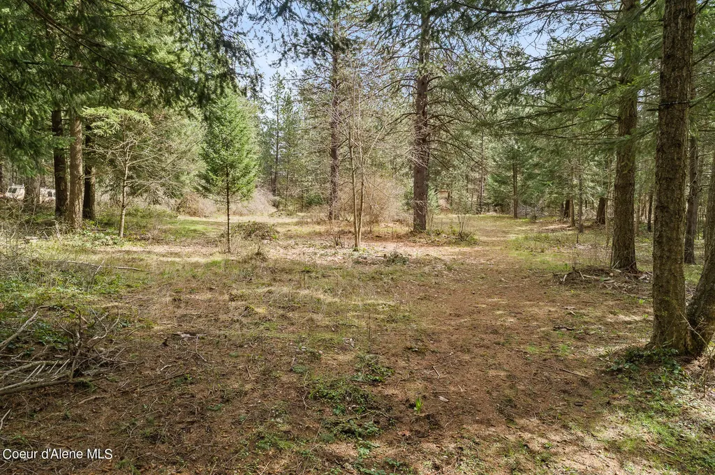 15974 N Boise Street Rathdrum ID 83858