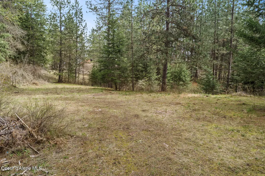 15974 N Boise Street Rathdrum ID 83858