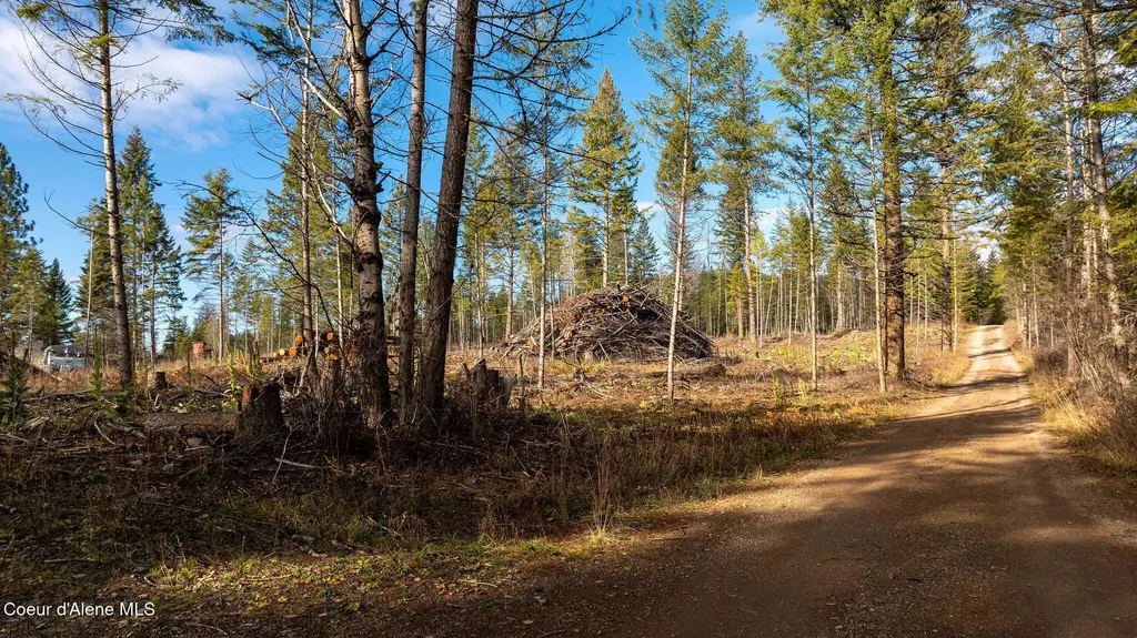 773 Cougar Loop Clark Fork ID 83811