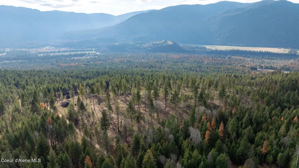 773 Cougar Loop Clark Fork ID 83811