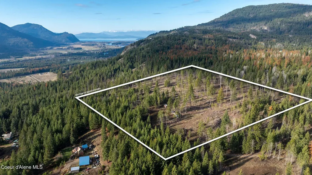 773 Cougar Loop Clark Fork ID 83811