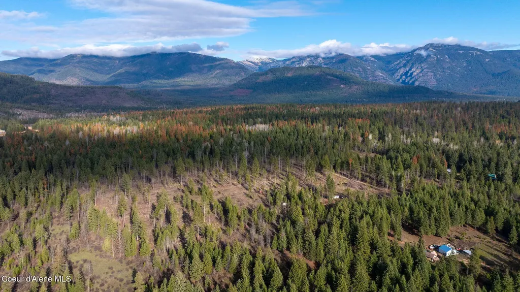 773 Cougar Loop Clark Fork ID 83811