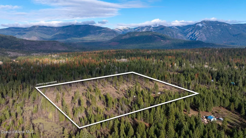 773 Cougar Loop Clark Fork ID 83811