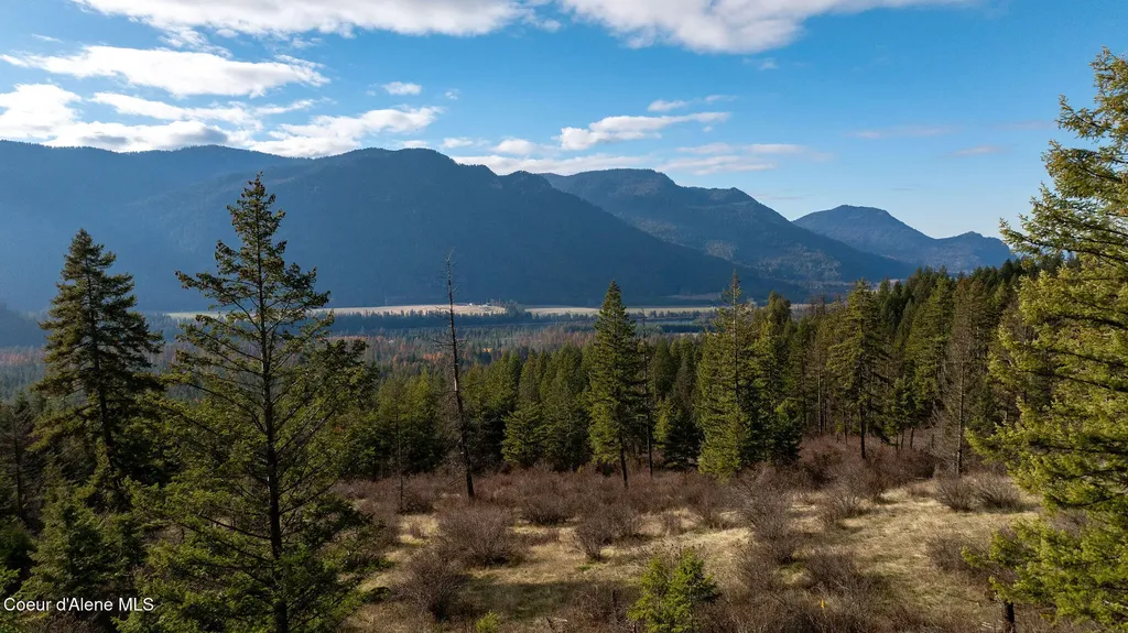 773 Cougar Loop Clark Fork ID 83811