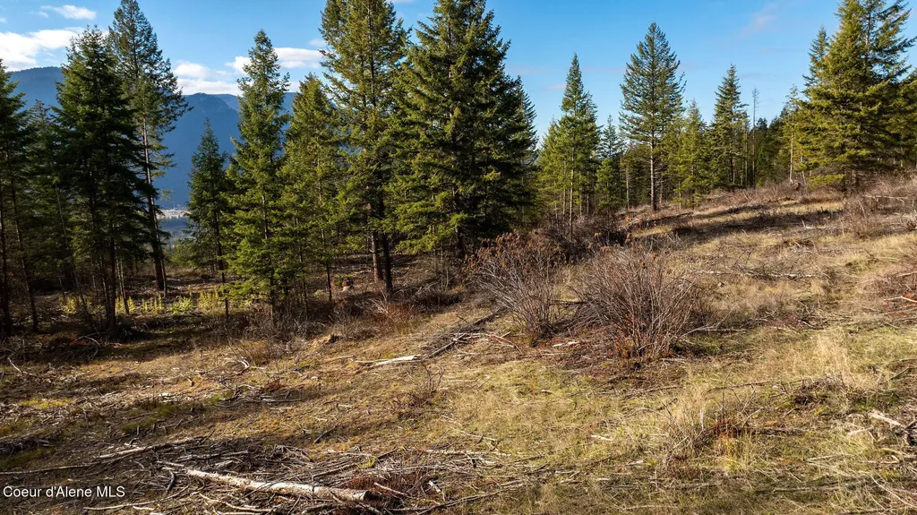773 Cougar Loop Clark Fork ID 83811