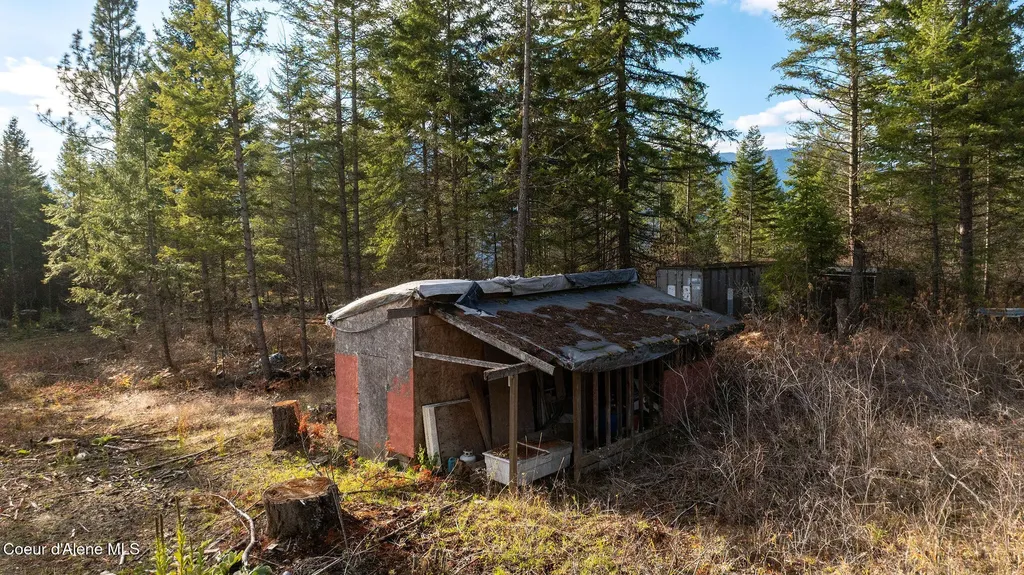 773 Cougar Loop Clark Fork ID 83811