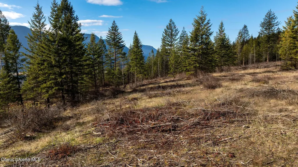773 Cougar Loop Clark Fork ID 83811