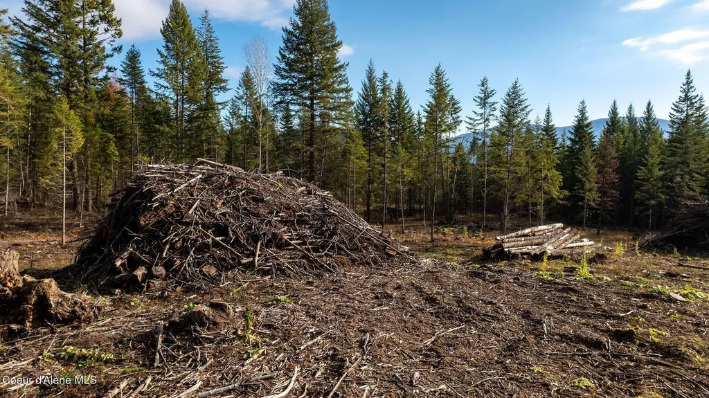 773 Cougar Loop Clark Fork ID 83811
