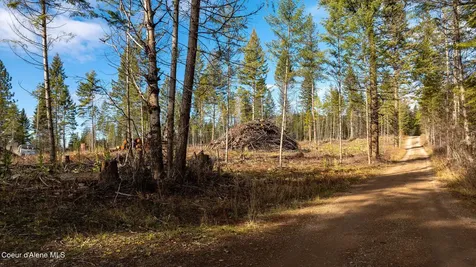 773 Cougar Loop Clark Fork ID 83811
