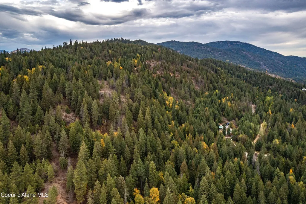 1464 Hulett Hill Drive Sandpoint ID 83864