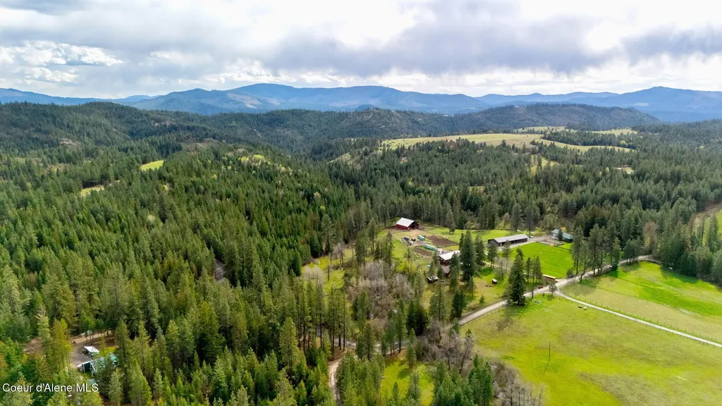 6420 Hells Gulch Road St. Maries ID 83861
