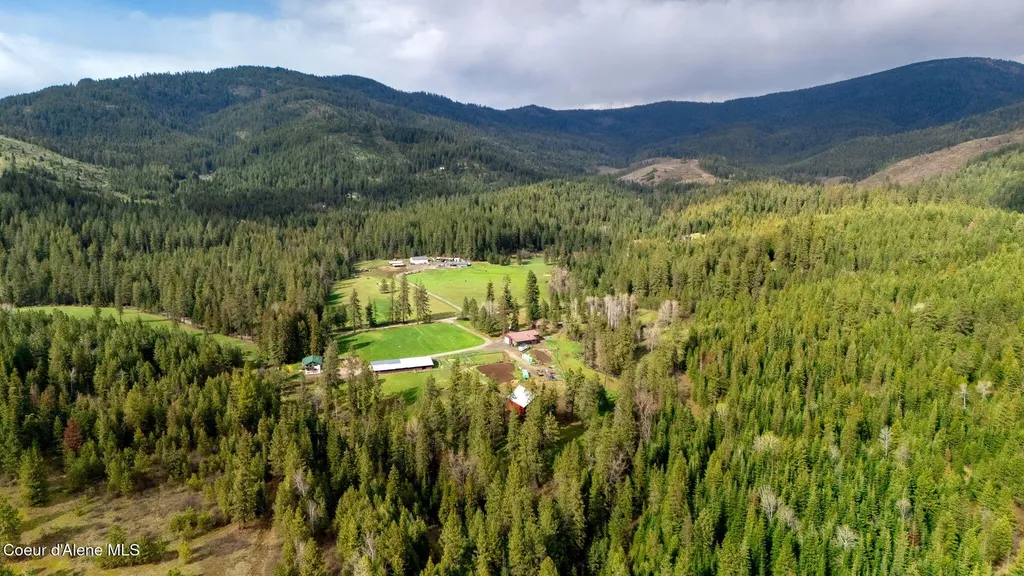 6420 Hells Gulch Road St. Maries ID 83861