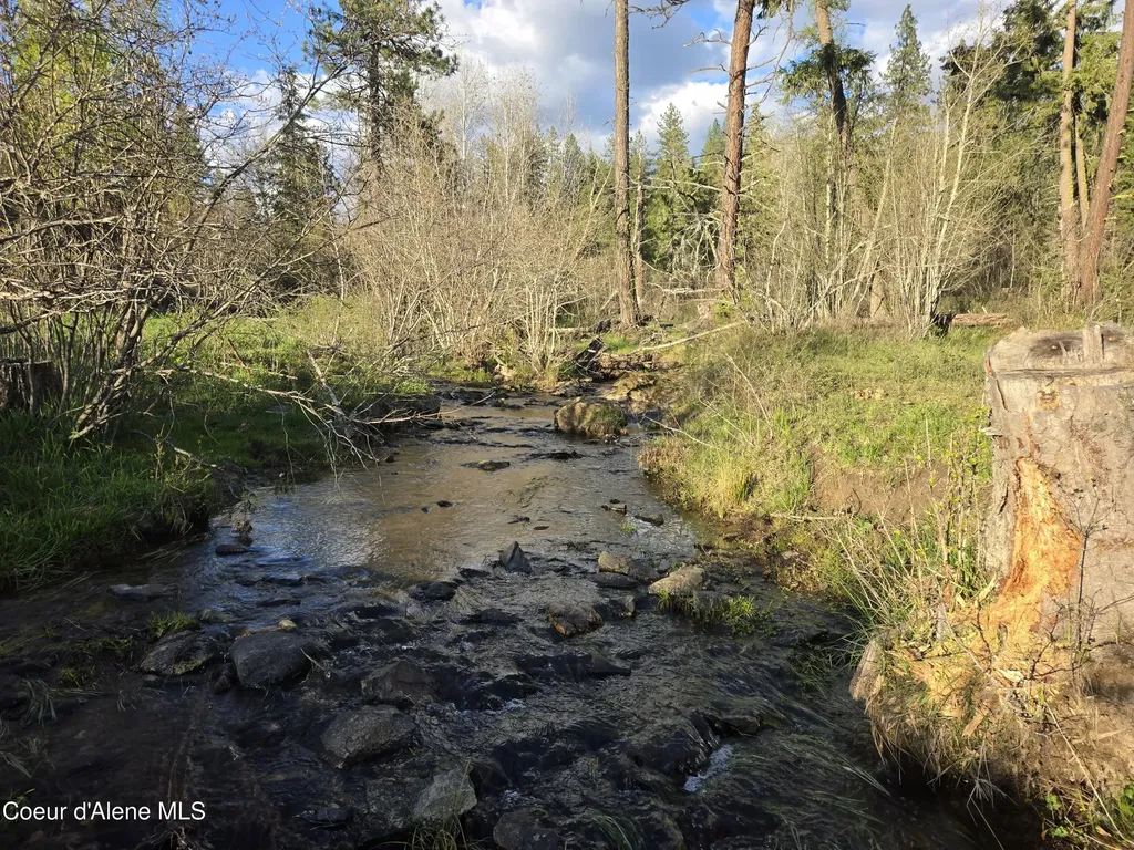 6420 Hells Gulch Road St. Maries ID 83861