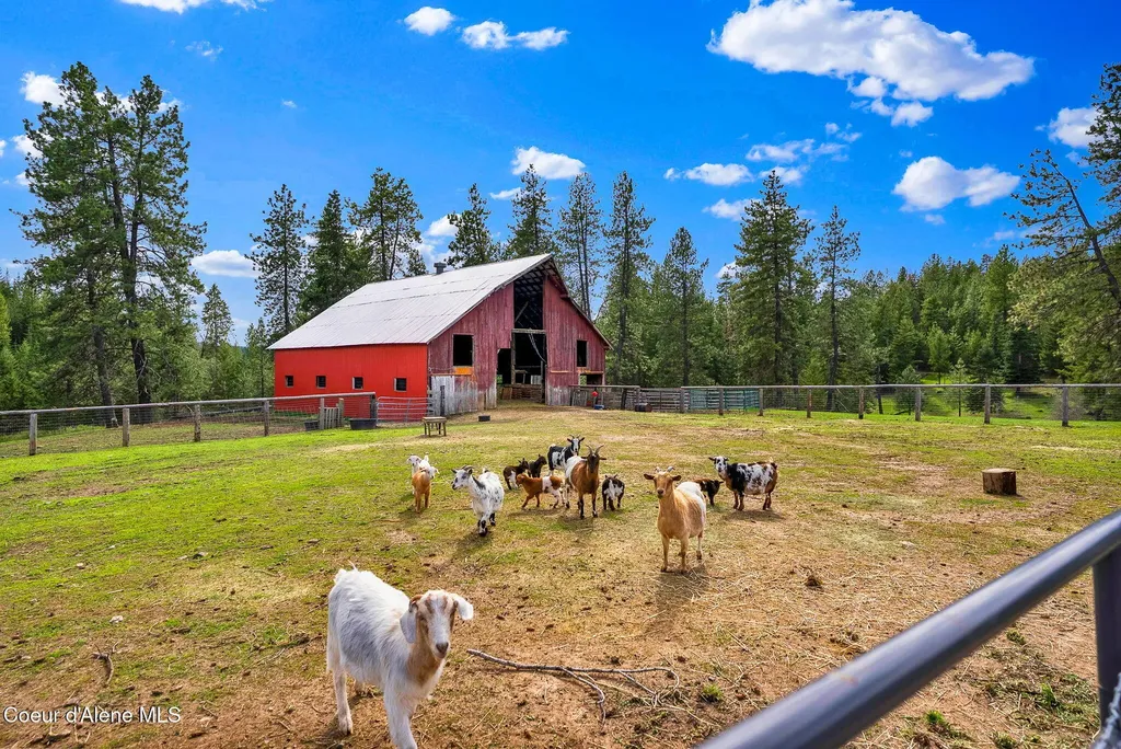 6420 Hells Gulch Road St. Maries ID 83861