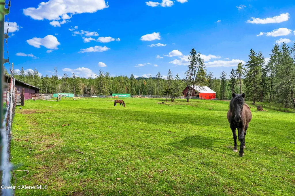 6420 Hells Gulch Road St. Maries ID 83861
