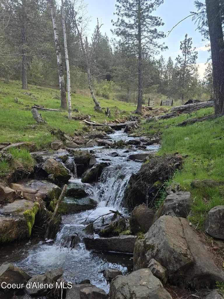 6420 Hells Gulch Road St. Maries ID 83861