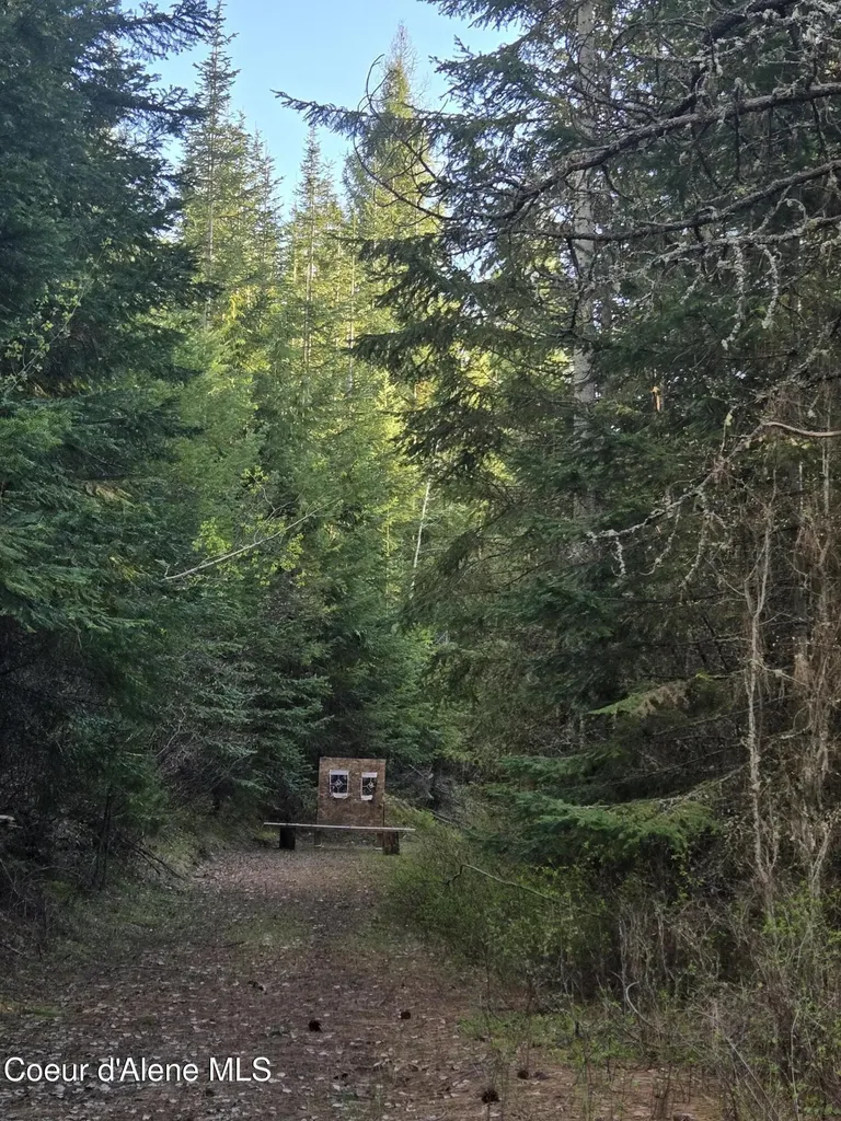 6420 Hells Gulch Road St. Maries ID 83861