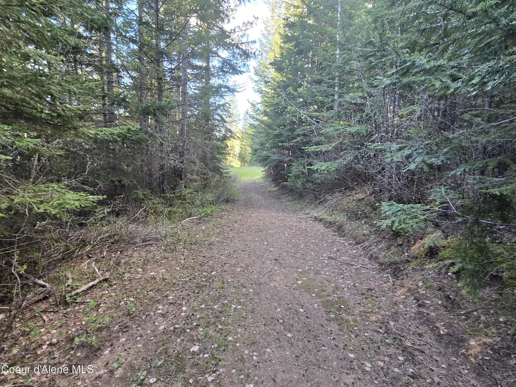 6420 Hells Gulch Road St. Maries ID 83861