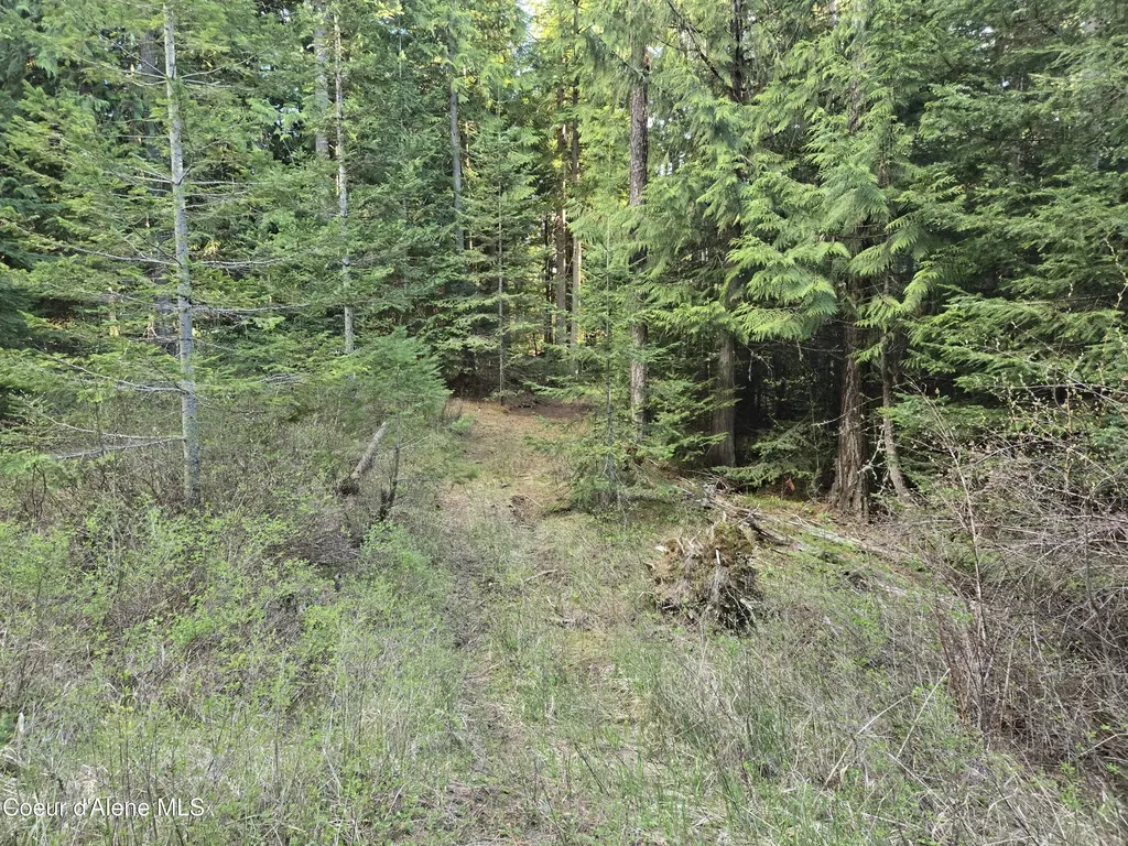 6420 Hells Gulch Road St. Maries ID 83861