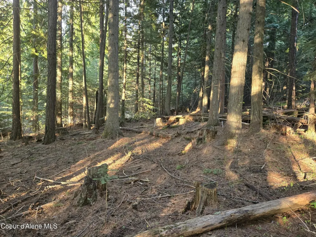 6420 Hells Gulch Road St. Maries ID 83861