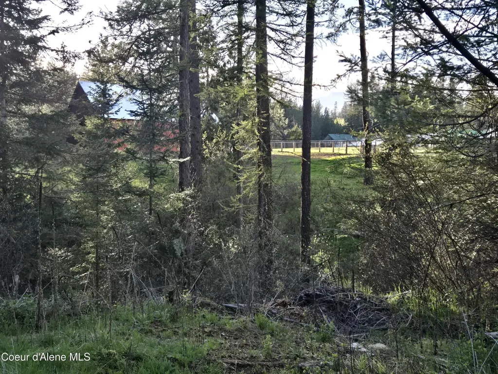 6420 Hells Gulch Road St. Maries ID 83861
