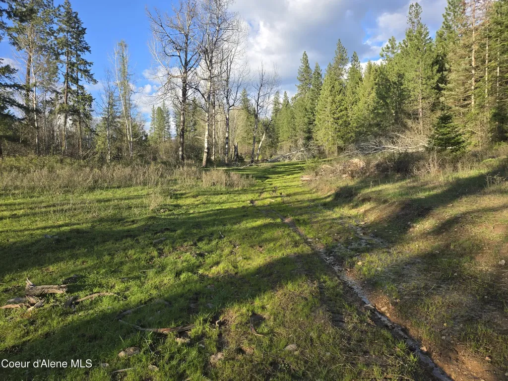6420 Hells Gulch Road St. Maries ID 83861