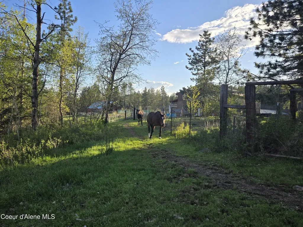6420 Hells Gulch Road St. Maries ID 83861
