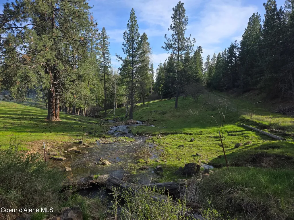 6420 Hells Gulch Road St. Maries ID 83861