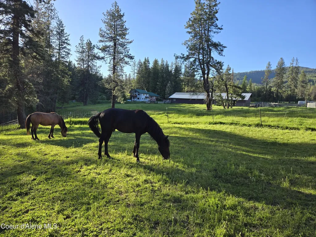 6420 Hells Gulch Road St. Maries ID 83861