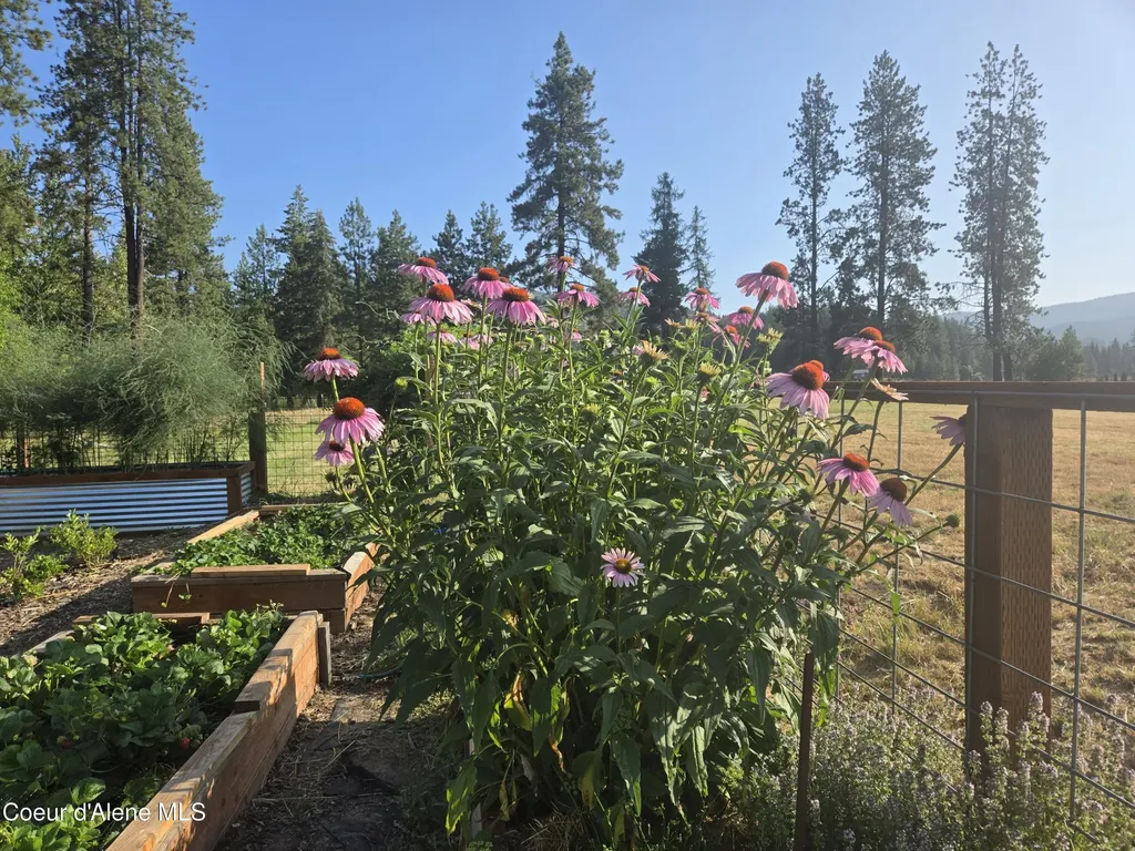 6420 Hells Gulch Road St. Maries ID 83861