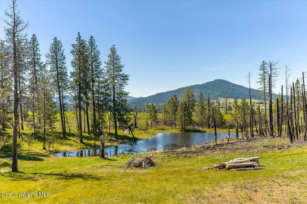1061 Canyon Ridge Drive Plummer ID 83851