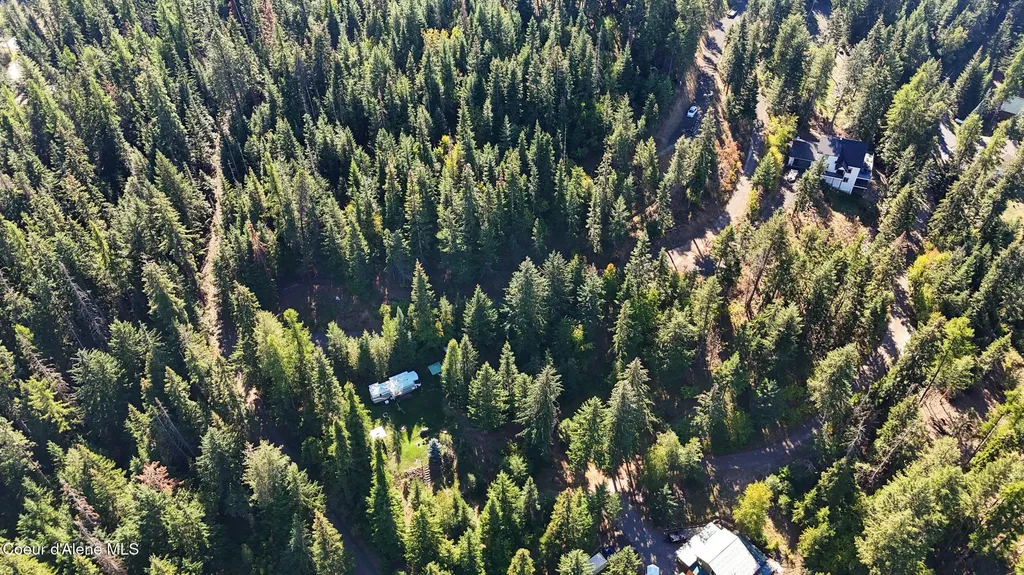 783 E Cliff View Drive Harrison ID 83833
