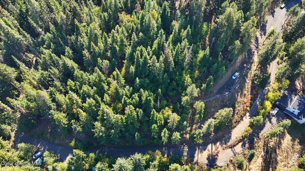 783 E Cliff View Drive Harrison ID 83833